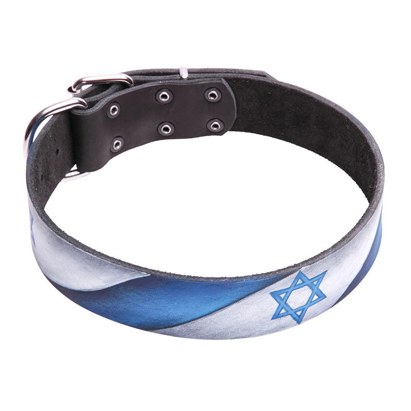 эксклюзивный ошейник с рисунком «Israel Pride» для собак